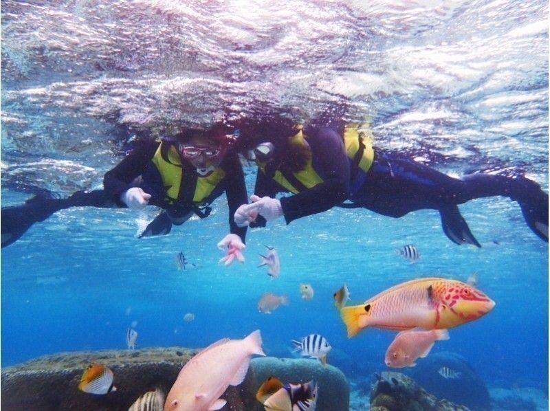 【沖縄・感動シュノーケル】サンゴ礁と熱帯魚の餌付け満喫ツアー!写真&動画無料♪ 沖縄人ガイド♪