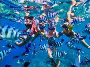 [Okinawa, impression, snorkel] feeding coral reefs and tropical fish ★photos & videos★ Local Guide ★