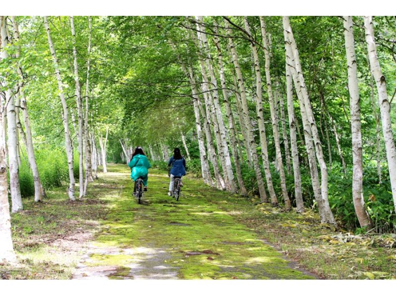 【北海道・美瑛】青い池・しらひげの滝 1日ツアー♪