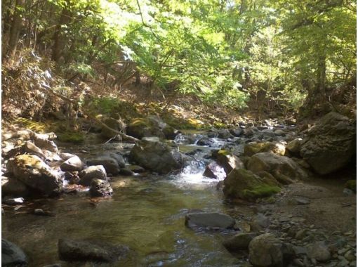 山梨 山中湖 道志みち 山中湖そば 美しい川べりでbbq 食材持参プラン 3時間 用具付き アクティビティジャパン