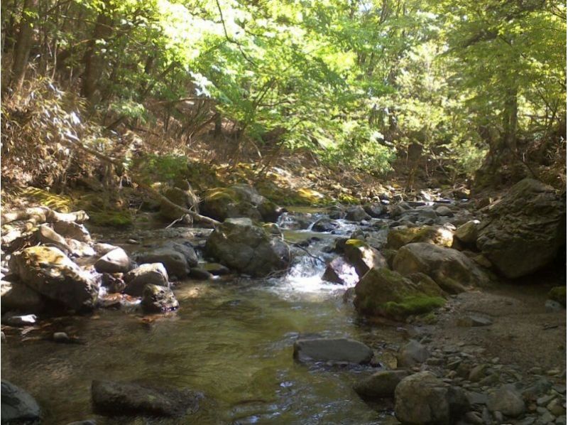 【山梨・山中湖・道志みち】山中湖そば・美しい川べりでBBQ ♪ 食材持参プラン(3時間・用具付き)
