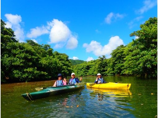 【西表島/半日】12:00スタート。75歳まで参加OK。トレッキングがないマングローブカヌー体験、体育会系でない、癒されるツアーの画像