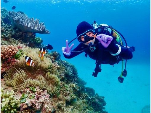 【沖縄・ダイビングライセンス・PADIアドバンスダイバー・1.5日間】大人気GoPro写真＆動画無料！口コミ＆写真満足度Ｎo1の画像