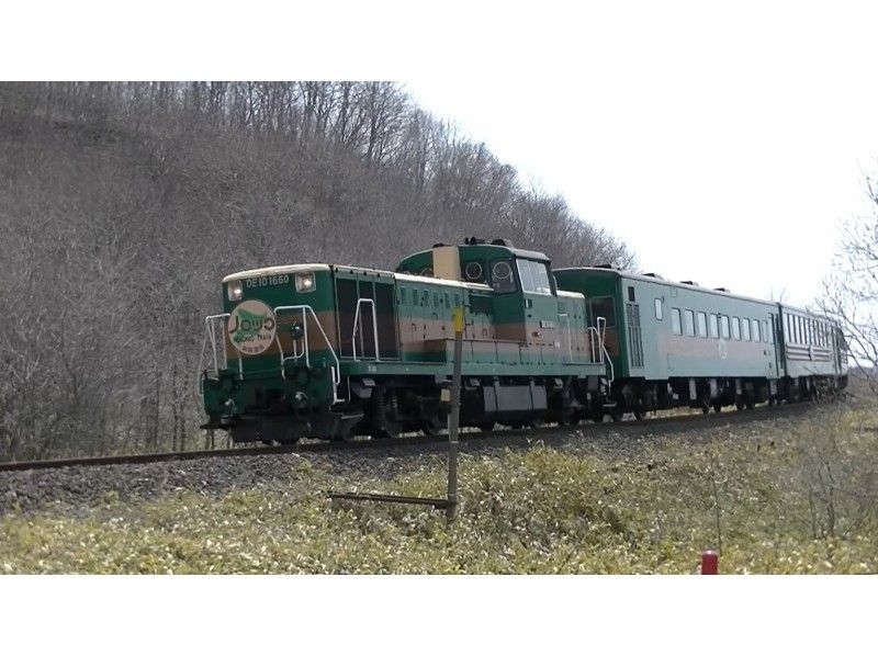 【北海道・釧路 観光ツアー】 プライベートハイヤー利用 釧路湿原探索のたび 6時間