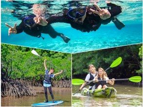 SALE! [Iriomote Island/1 day] Underwater adventure & nature cruise! Tropical snorkeling & mangrove SUP/canoe [free photos]