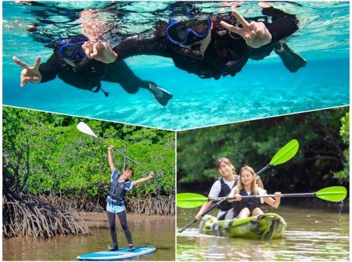 [Iriomote Island/1 day] Underwater adventure & nature cruise! Tropical snorkeling & mangrove SUP/canoe [free photos] SALE!の画像