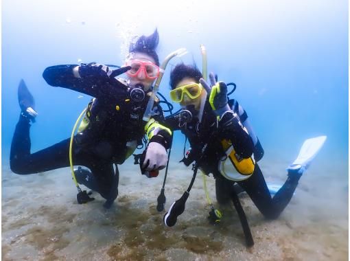 【兵庫県三田発】透明度の高い日本海で初めての 体験ダイビング＆水中写真 を楽しもう！（2ダイブ）の画像