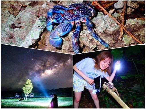 [西表岛/夜间] 观赏猎户座流星雨的机会！星空和丛林夜间之旅★天然天文馆×稀有热带生物★当天报名OK！の画像