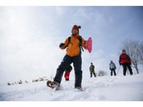 【北海道・札幌】初心者歓迎！これで安心スノーシュー入門！円山ハイキングお手軽半日コース（ガイド同行）