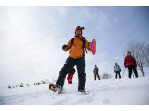 [Hokkaido/Sapporo] Beginners welcome! Snowshoes introductory course to play in a private forest (with a guide)の画像
