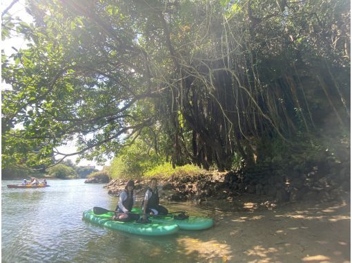 Central main island, convenient access! Mangrove River Sap Tour Popular with couples! Tour image giftの画像