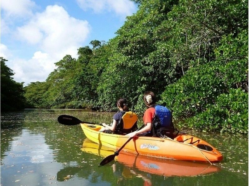 [Okinawa ・ Ishigaki island] Our most popular mangrove canoe & jungle exploration course! (3 hours)の紹介画像