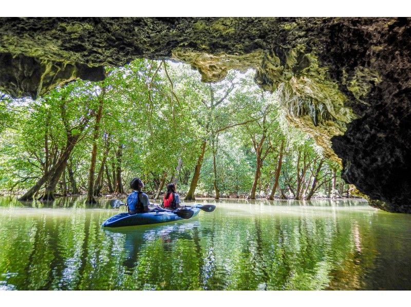 [Okinawa ・ Ishigaki island] Mangrove canoe (2 hours) experience course!の紹介画像