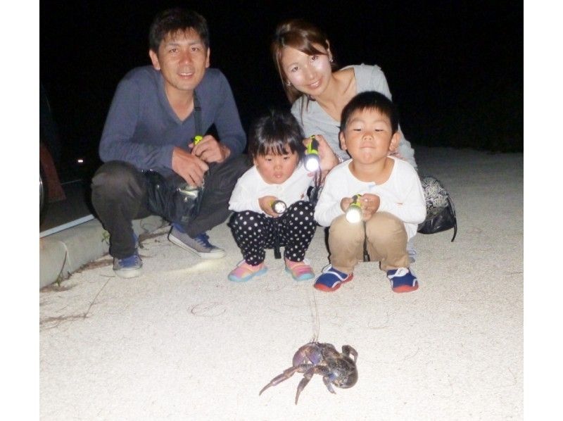 【沖縄・石垣島】ナイトサファリ(夜行性の生き物探し)(約2.5時間)★期間限定★
