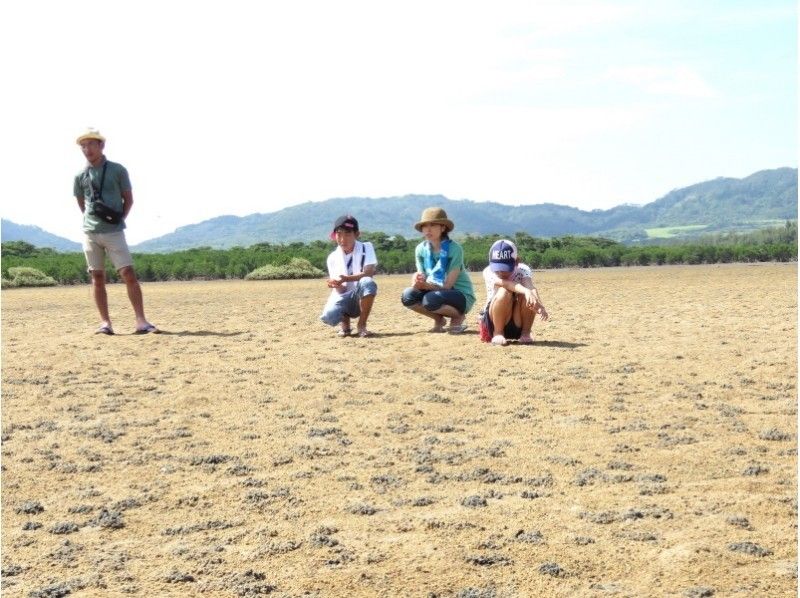 【沖縄・石垣島】名蔵アンパル干潟探検ツアー!ラムサール条約登録湿地!(2時間)★期間限定★