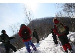 【北海道・札幌】お手軽な半日体験でメタボ予防を！スノーシュー旭山記念公園コース（ガイド同行）