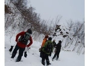 【北海道・札幌】スノーシューのんびり1日コース　盤渓市民の森とゆっくりランチプラン（ガイド同行）