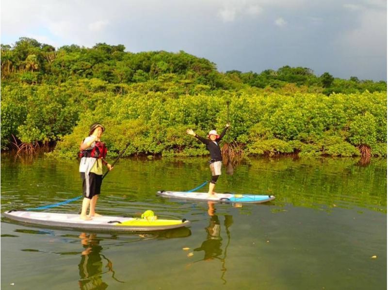 【沖縄・西表島】西表島の大自然を満喫できるSUP&トレッキングツアー!写真・ランチ付き