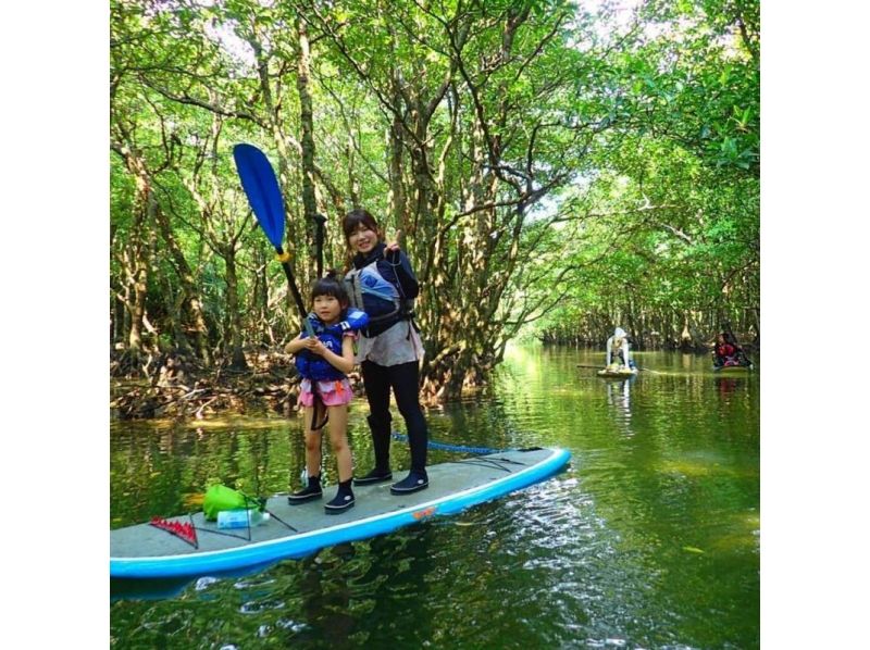【沖縄・西表島】SUP&キャニオニング!西表島の大自然を満喫できるツアー!写真・ランチ付き