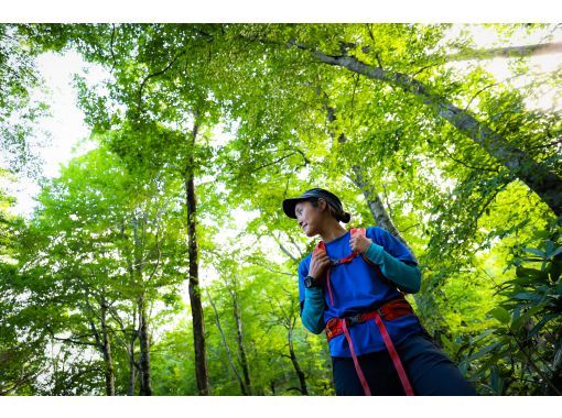 【北海道・黒松内町】歌才ブナ林ガイドウォーク（ショートコース/90分）天然記念物の森をガイドと一緒に散策の画像