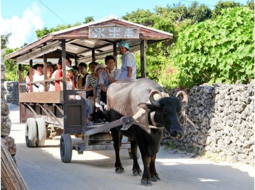 【Okinawa · Ishigakijima】 Go with a cruiser! Taketomijima sightseeing ☆ Experience diving & snorkelingの画像