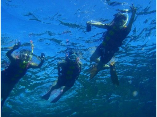 [Okinawa ・ Ishigaki island] Snorkel ☆ half-day courseの画像