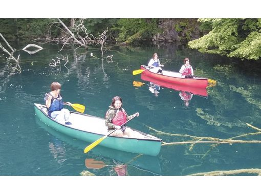 【青森・十和田湖】世界最大の二重カルデラ湖・十和田湖の特別保護区「秘境イトムカの入り江」などを巡るアドベンチャーカヌーツアー！