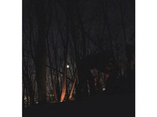 [Hokkaido Sapporo] Night hiking in the forest at night with Snowshoes (accompanied by guide)の画像