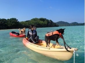 【沖縄・石垣島】Gコース・愛犬と行く無人島探検ツアー！（半日コース・ドリンク付き）