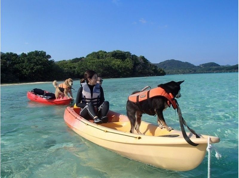 【沖縄・石垣島】Gコース・愛犬と行く無人島探検ツアー！（半日コース・ドリンク付き）