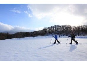 [Tohoku/ Hachimantai]Cross-country skiing(half-day tour) OK from elementary school students, enjoy nature, and have no experience in skiing!の画像