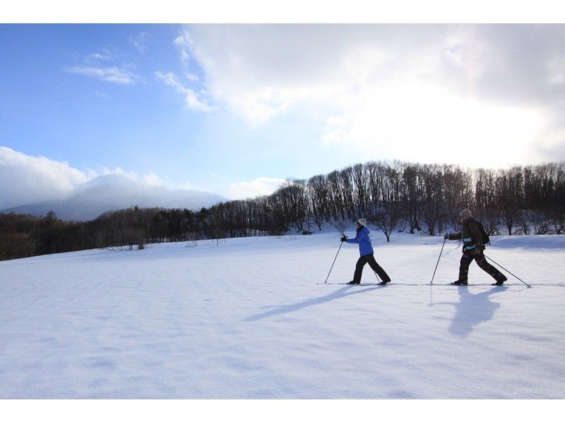 Cross-country skiing in Japan - ActivityJapan