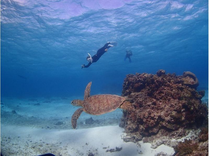 【沖縄・宮古島】いろいろな魚達と一緒に泳げる ♪ ビーチシュノーケリング＜半日コース＞