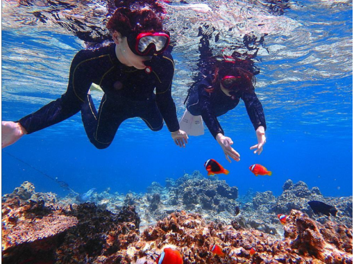 [โอกินาวา Kohama] กัปตันร้อยละ - ปล่อยให้มันเป็นทัวร์ดำน้ำดูปะการังที่น่าตื่นเต้น (4 ชั่วโมง)の画像