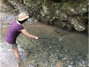 【鹿児島県・奄美大島】◇貸切・無料送迎付◇マングローブカヌーとタナガ（テナガエビ）捕り