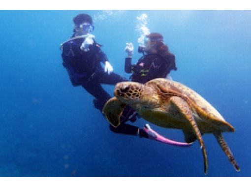 【 鹿儿岛 ·奄美】第一次更安全☆海滩体验深潜の画像