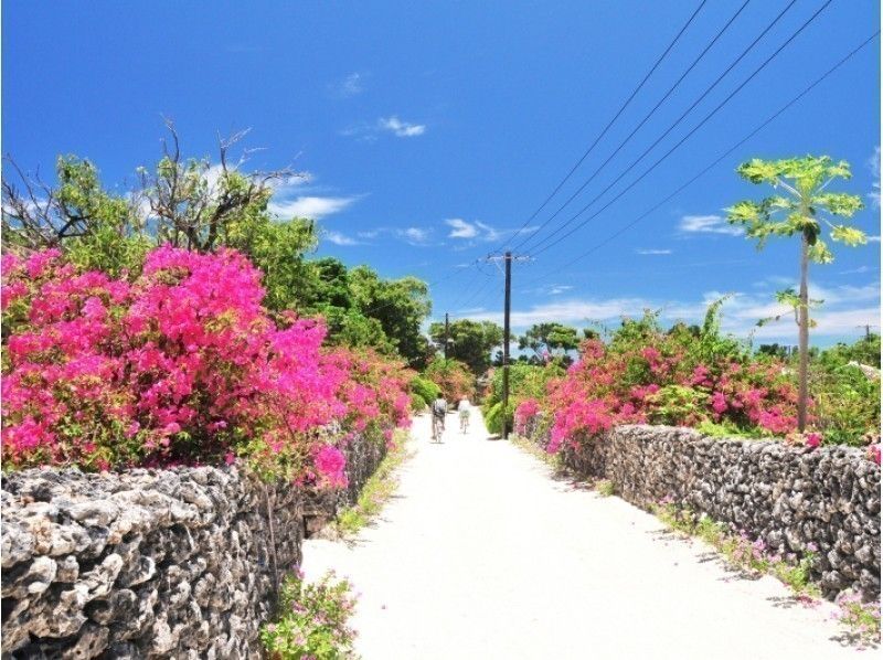 【3島めぐり】西表・由布・竹富3島めぐり★竹富島でレンタサイクル（昼食付）＜R-2C＞