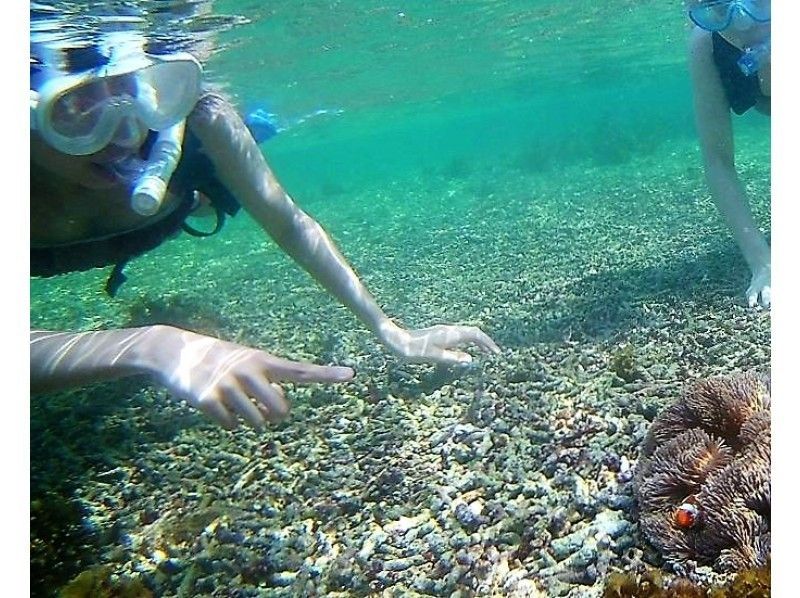 沖縄 石垣島 一番人気 島のspot青の洞窟 シュノーケリングツアー 魅力凝縮一時間コース アクティビティジャパン