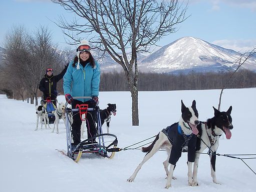 北海道 犬ぞり体験