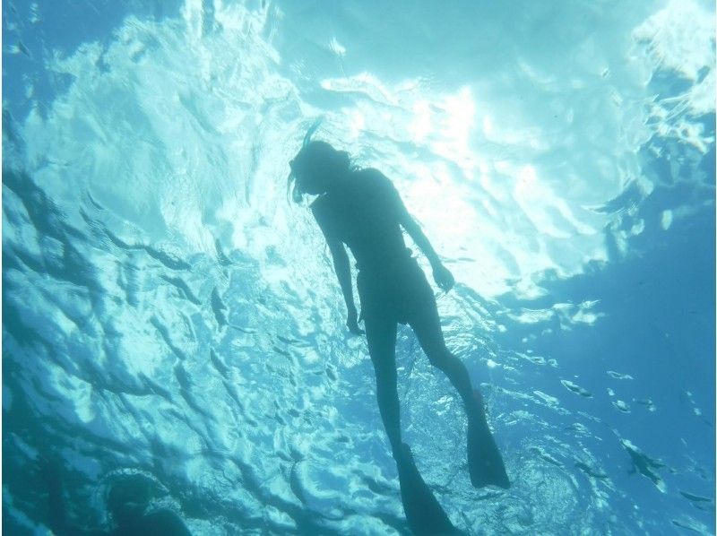 【沖縄・石垣島】★幻の島上陸シュノーケルツアー(半日コース)