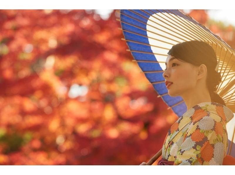 【東京・浅草】着物レンタル・ベーシックプラン（女性用）