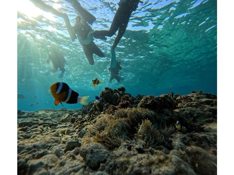 【北海道・SUP体験】透明度の高い支笏湖の湖面をクルージング！SUP体験（半日コース）の画像