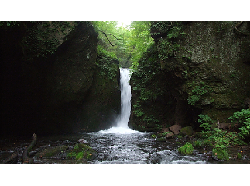 [长野/轻井泽]停在轻井泽的两个著名瀑布，白石瀑布和琉球瀑布！ Shinanoji徒步旅行（约3小时）の紹介画像