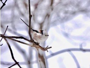 SAN(SAPPORO ACTIVE NAVIGATION)