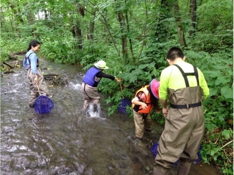 【北海道・斜里川】お子様人気No1! 大自然の中で魚を捕まえよう♪斜里川あそび