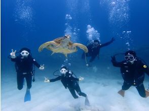 オーシャンリンクス