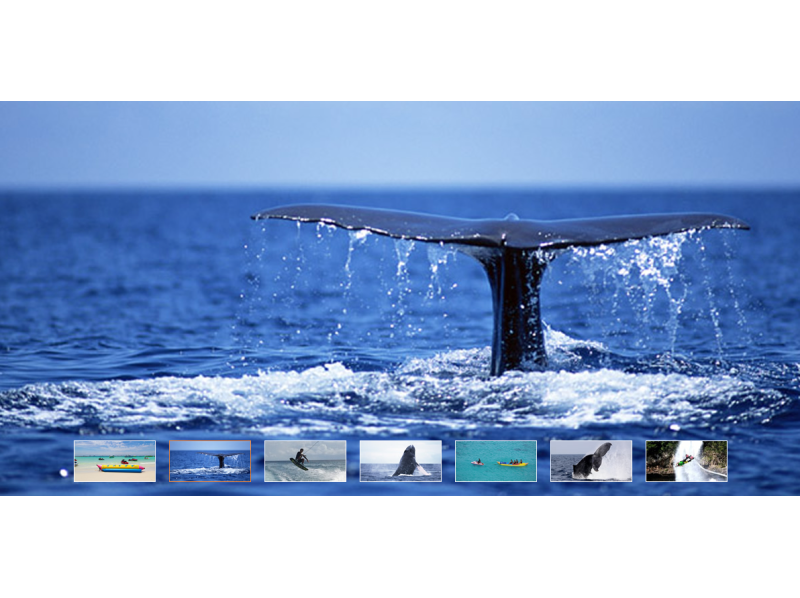 [冲绳绳恩纳]设置“鲸鱼观赏”计划和“无限制游乐的游乐设备和花式滑水板”の紹介画像