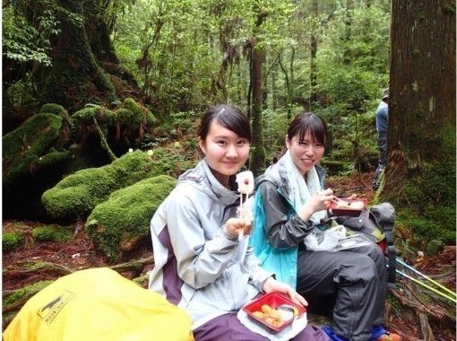 鹿児島 トレッキング ハイキング 日帰り旅行 遊び アクティビティ体験一覧 トラベルコ