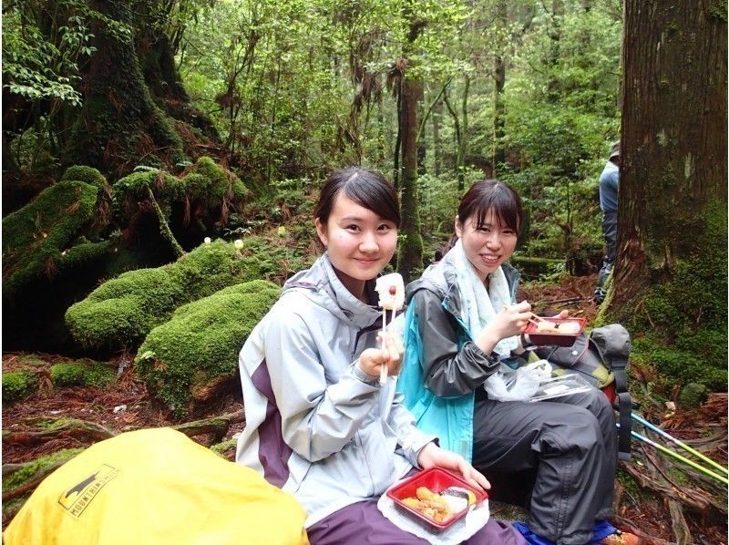 グループ予約でお得!縄文杉日帰りツアー【無料レンタル付で身軽に屋久島】屋久島人気No.1コース