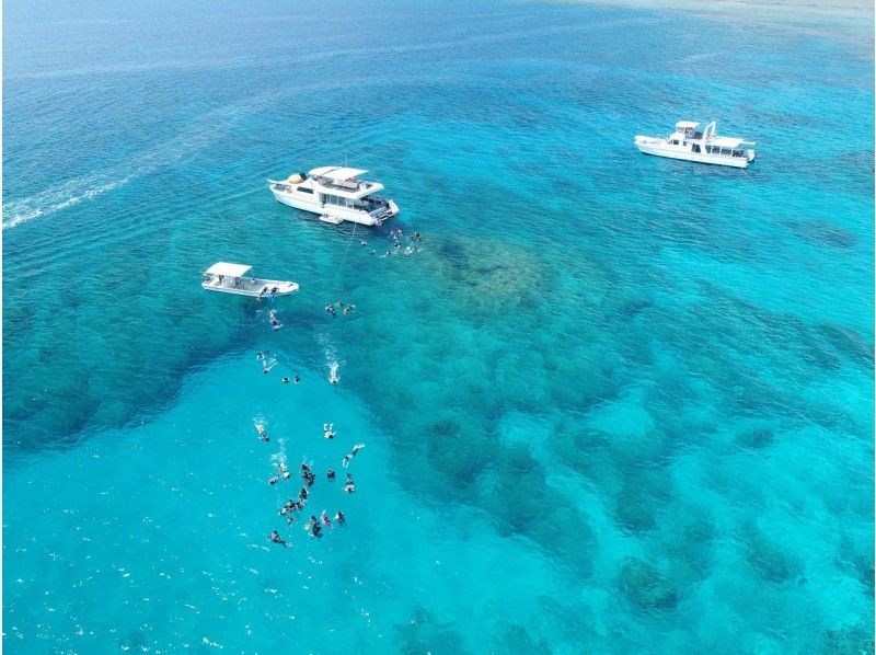 [Okinawa ・ Kerama] Beginner OK! Snorkeling (feeding experience) & Churaumi boat experience Diving